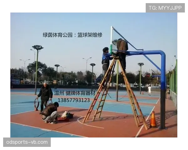 篮球争议球处理规则解析：常见判罚场景与应对策略